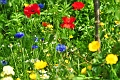 23 06 15_5165_edited-1